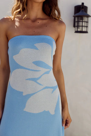LENI STRAPLESS MAXI DRESS LELO BLUE/WHITE